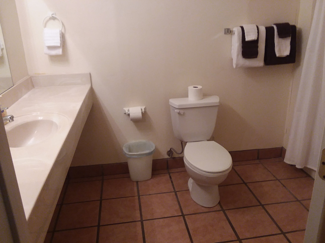 Stagecoach Suites​主图