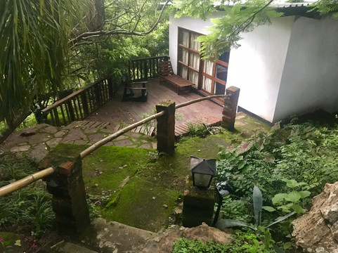 Thorn Tree Guest House主图