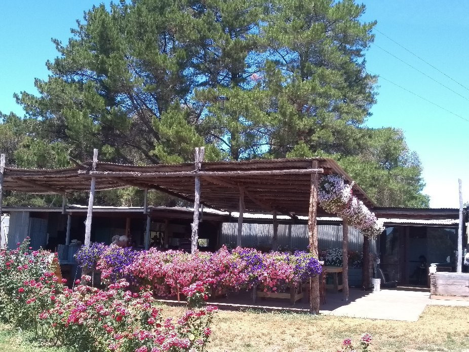 Beechworth Berries-比奇沃思必去景点