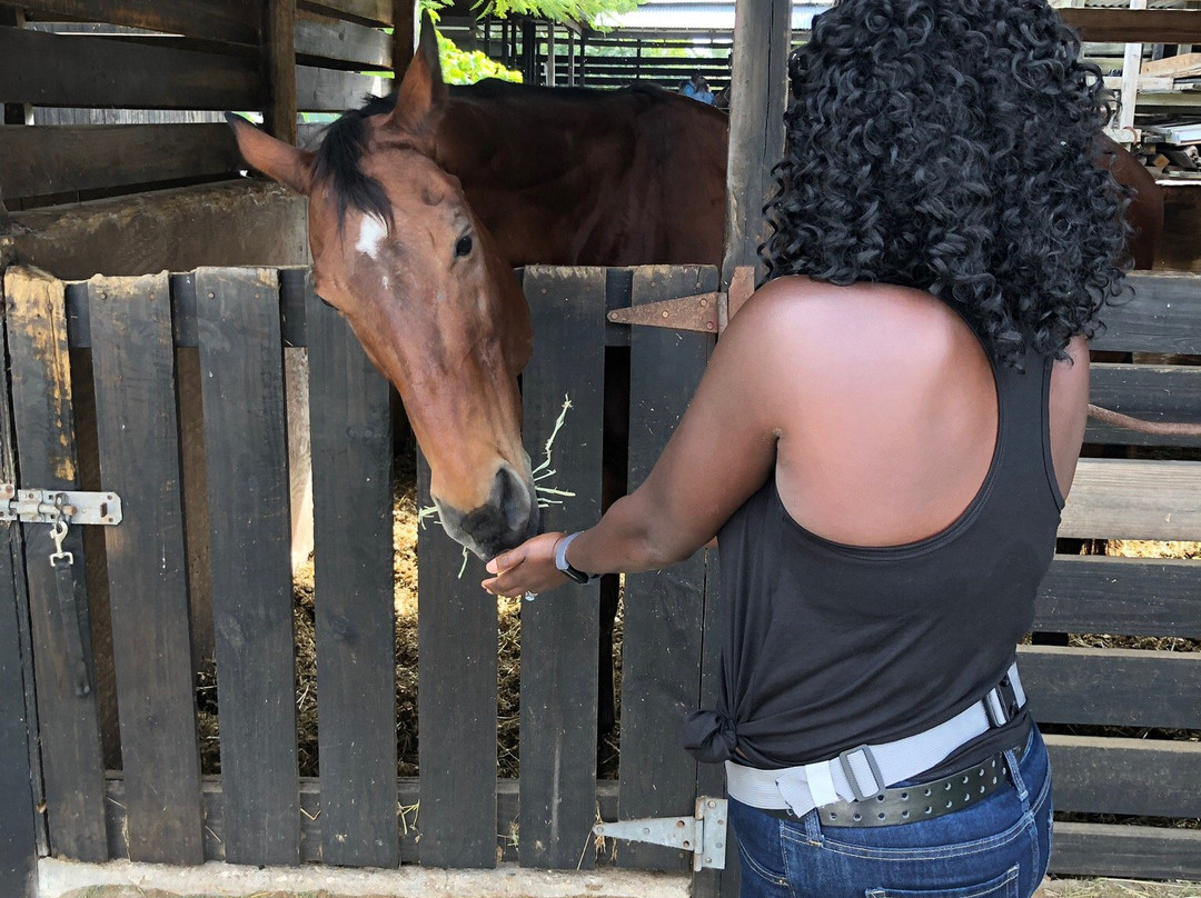 Happy Trails Stables-Coral Harbour必去景点