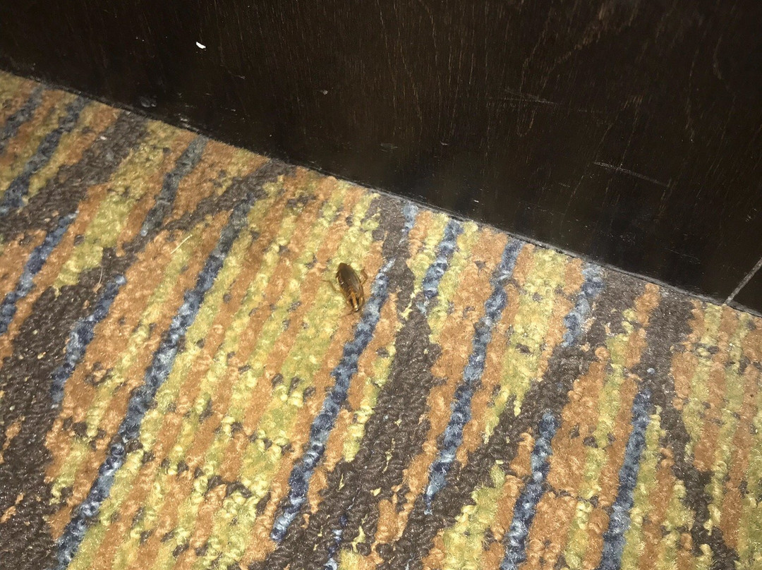 麦诺利亚海湾酒店&套房酒店主图