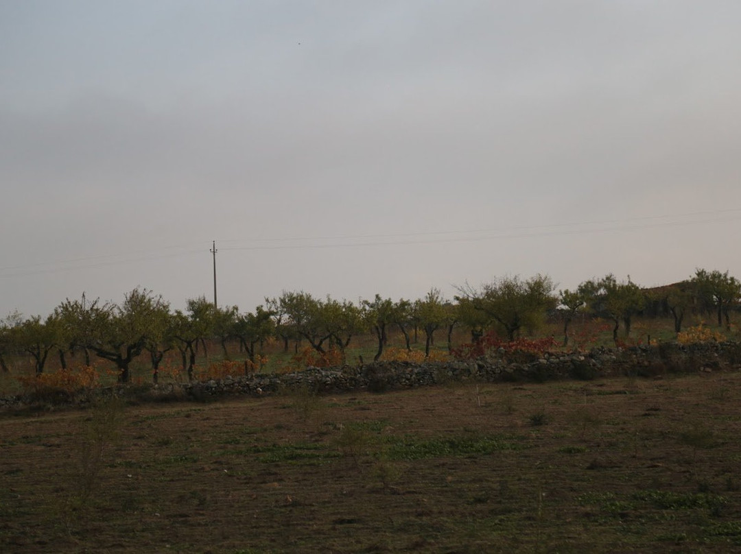 Miradouro Natural do Alto da Sapinha-Figueira de Castelo Rodrigo必去景点