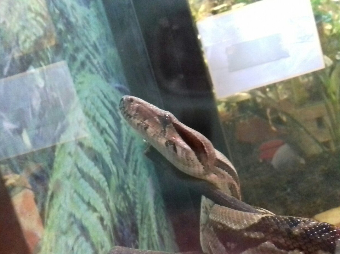 Naturama Science Center-Martignacco必去景点