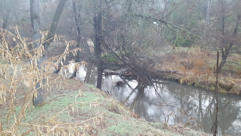 Queen's Inn by the River主图