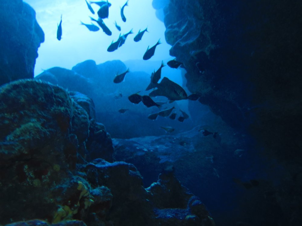 马里来纳徒步体验-塞班岛必去景点