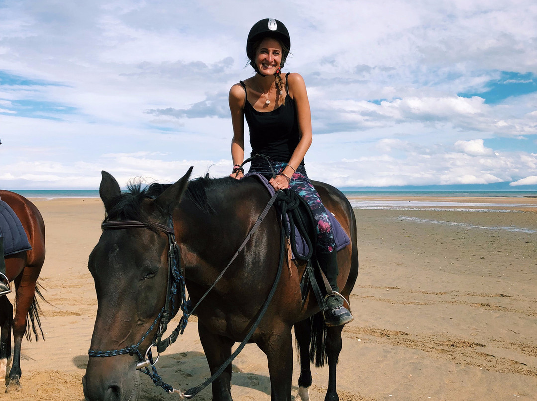 Abel Tasman Horse Trekking-玛拉豪必去景点