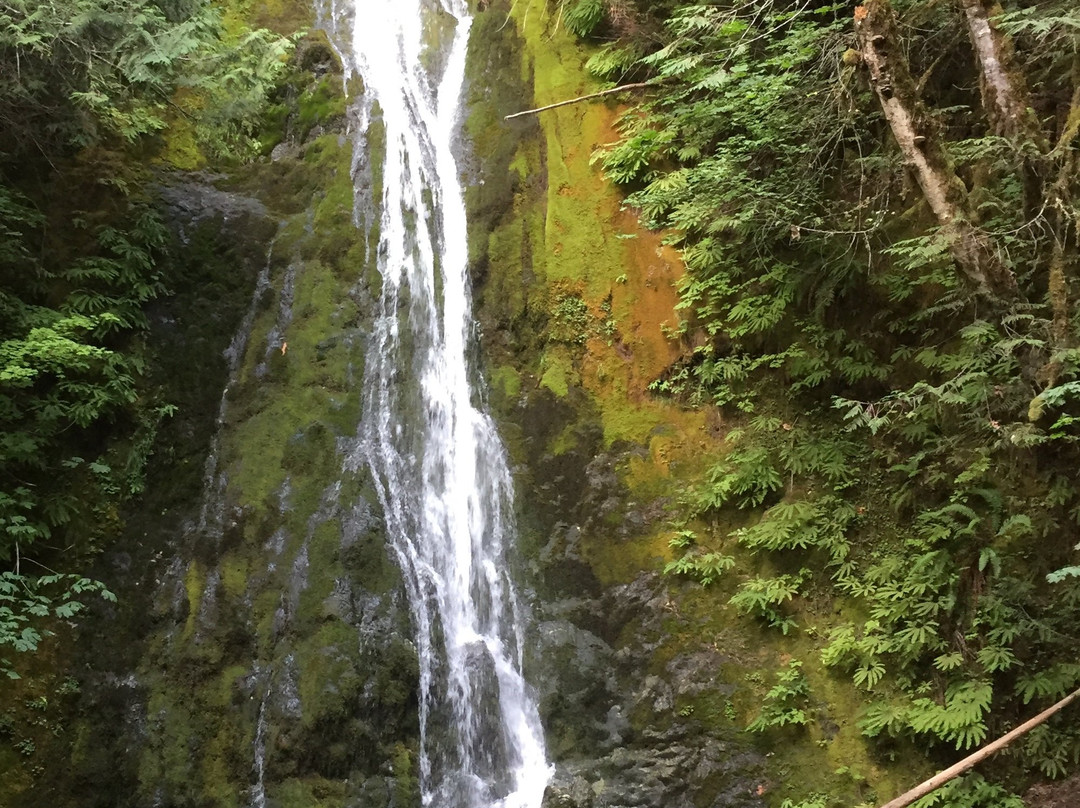 Madison Creek Falls景点图片