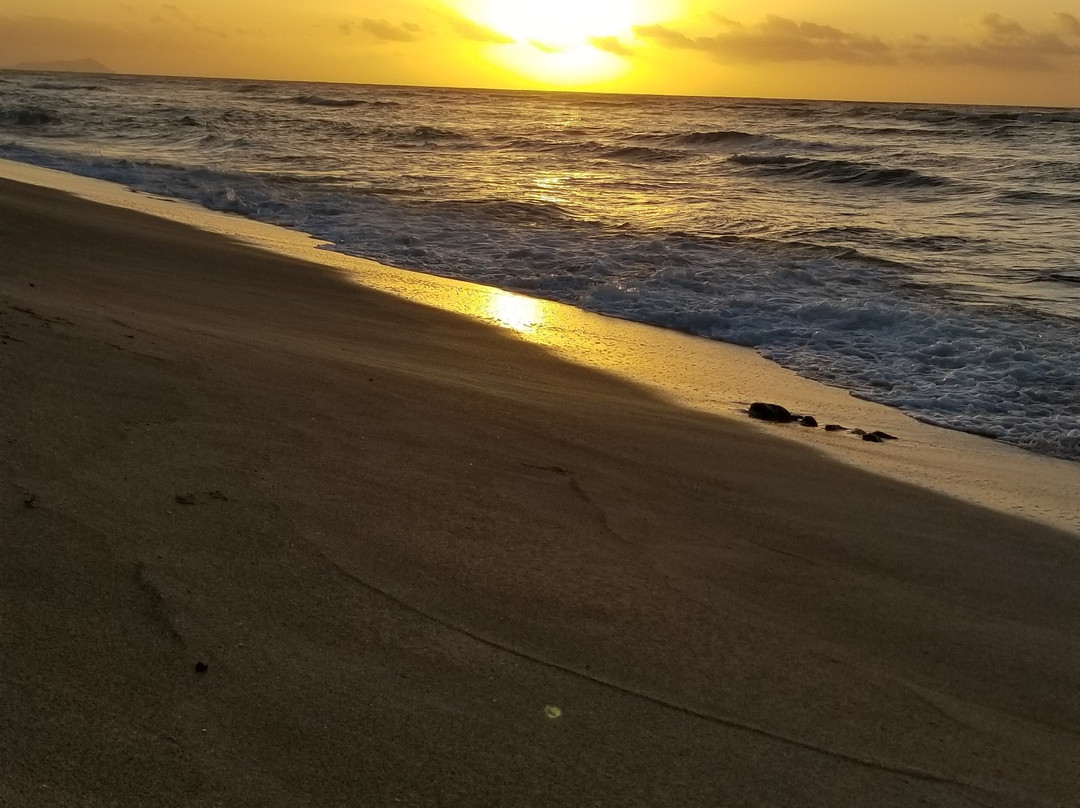 White Plains Beach景点图片