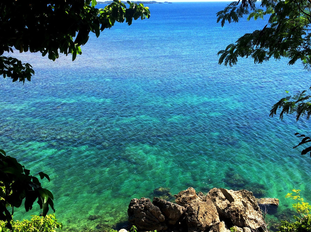 Nature's Eye Resort主图