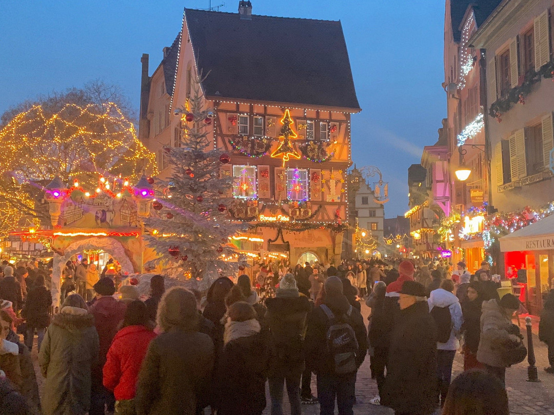 Colmar Expo景点图片
