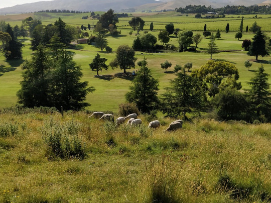 Blackley House B&B主图