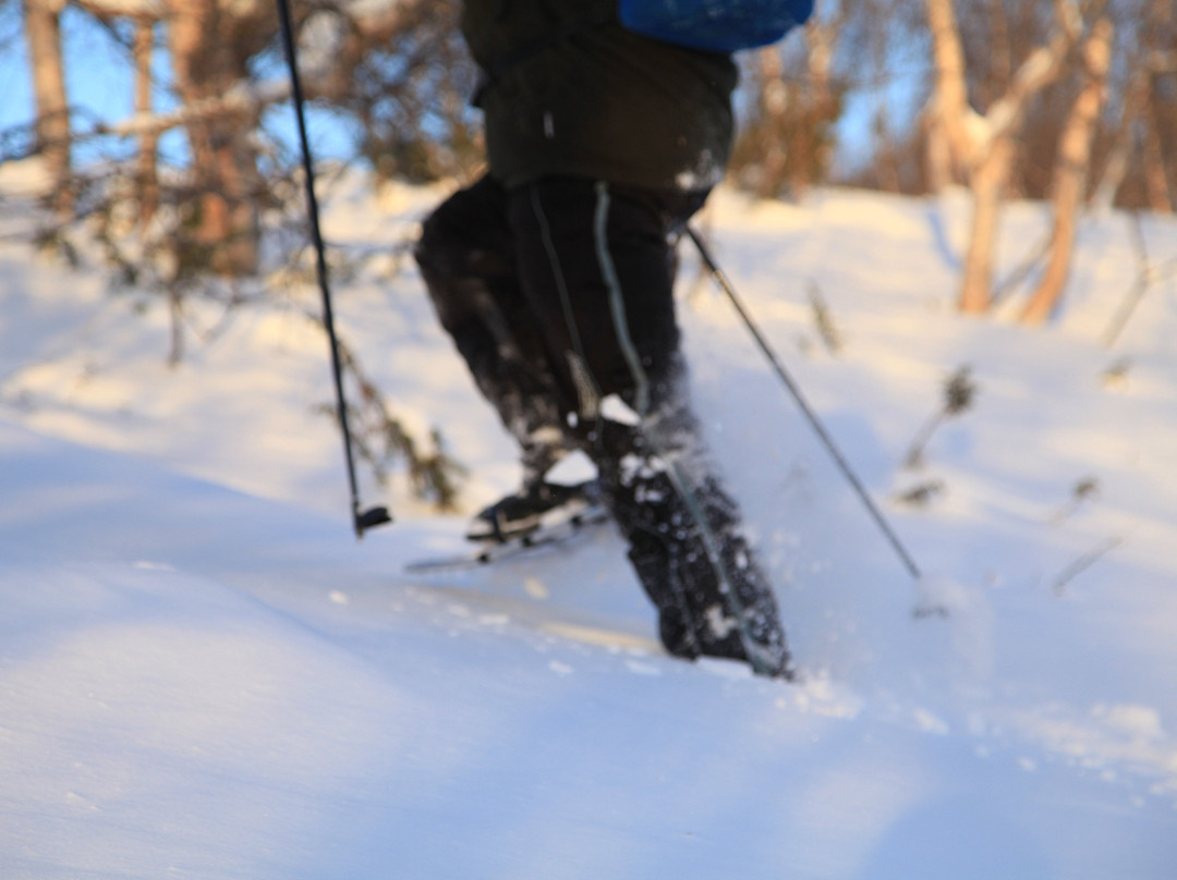 Safaris - The Lapland Connection-Kilpisjarvi必去景点