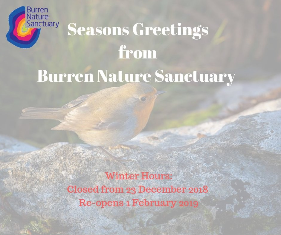 Burren Nature Sanctuary景点图片