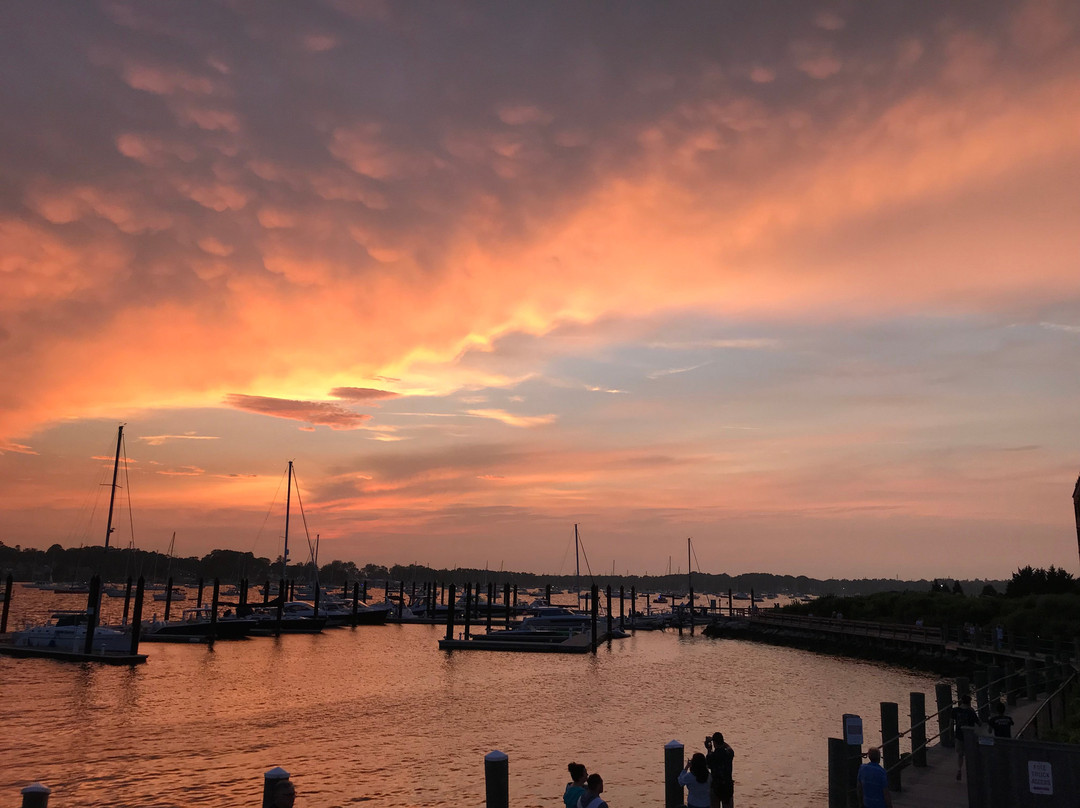 布里斯托尔餐馆和美食-Quito's Restaurant