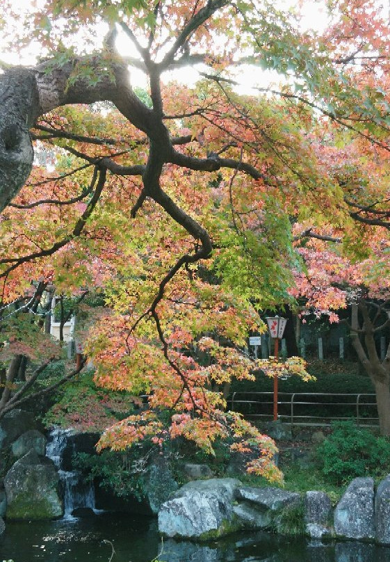 Oyama Ryokuchi-高滨市必去景点