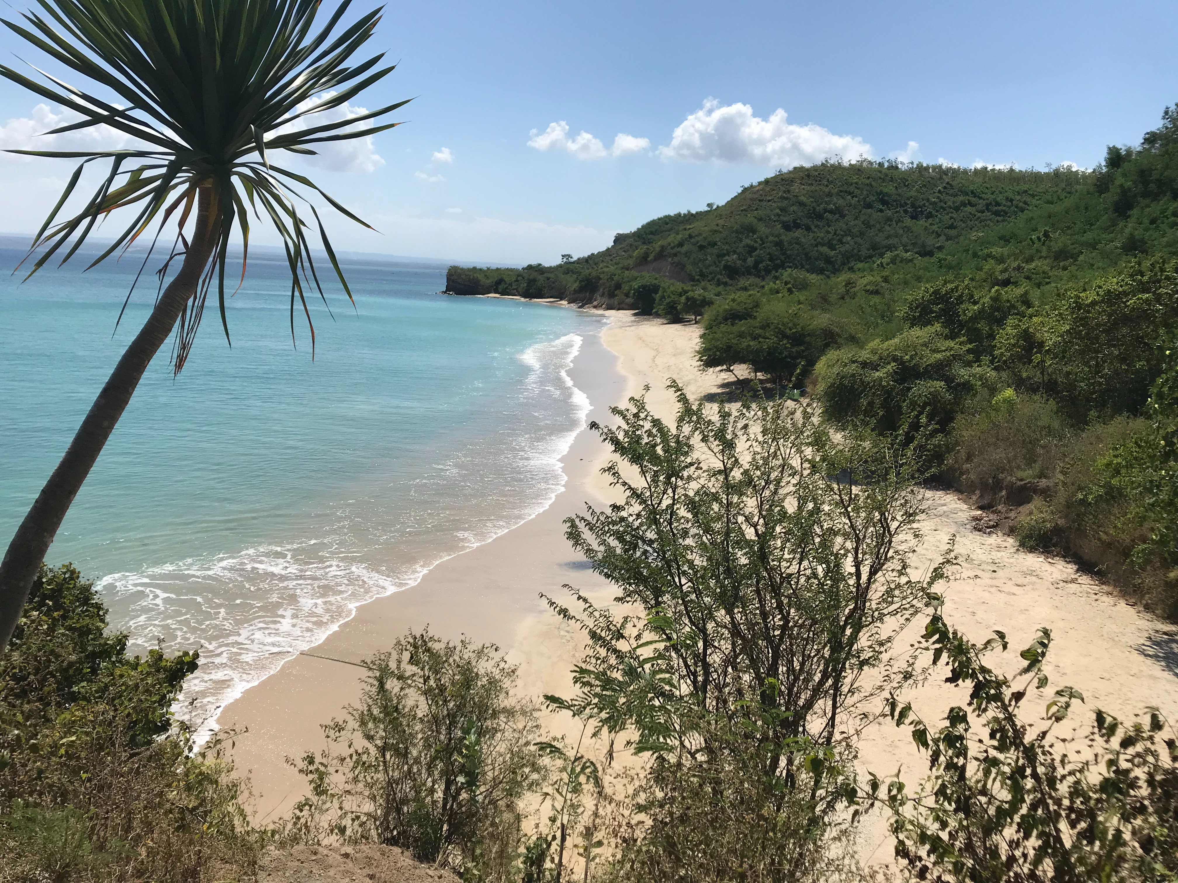 Ekas Surf & Kitesurfing Resort-官方