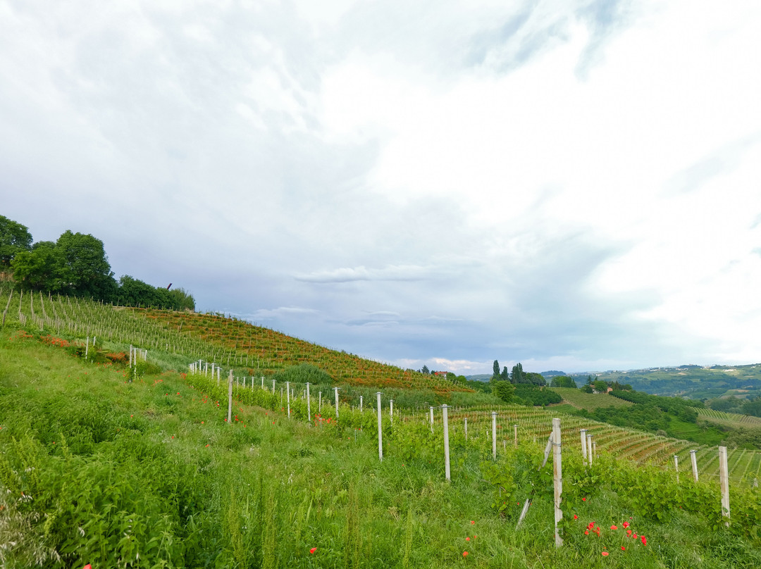 Cisterna d'Asti旅游攻略图片