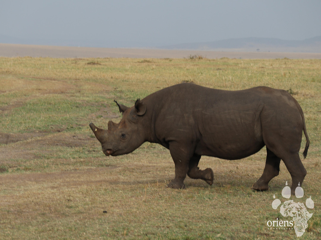 Oriens Adventures-纳库鲁必去景点