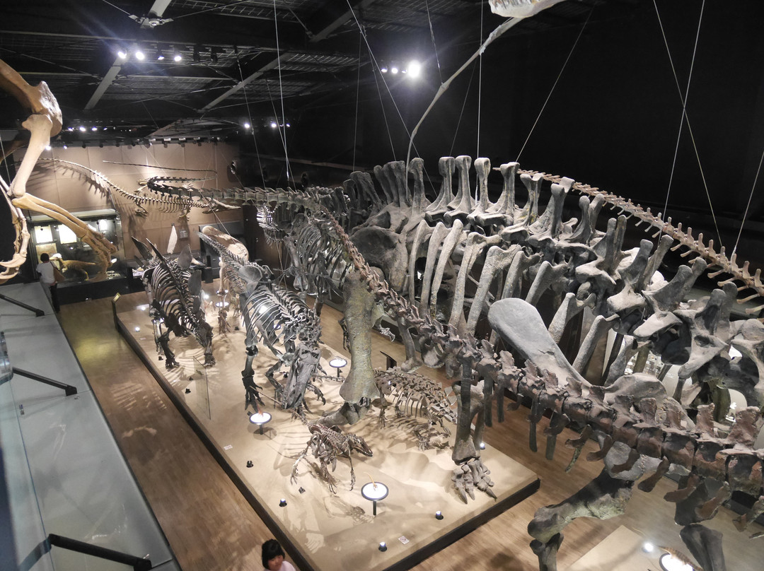 Mifune Dinosaur Museum景点图片