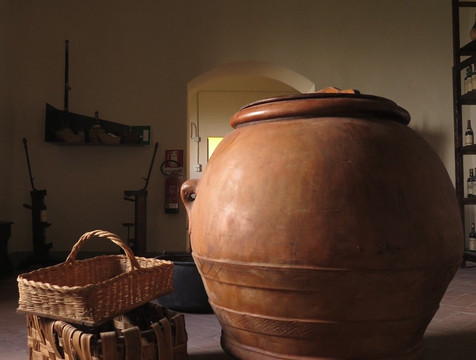 Olive oil tasting and fresh pasta Class-San Gersole - Torre Rosse必去景点