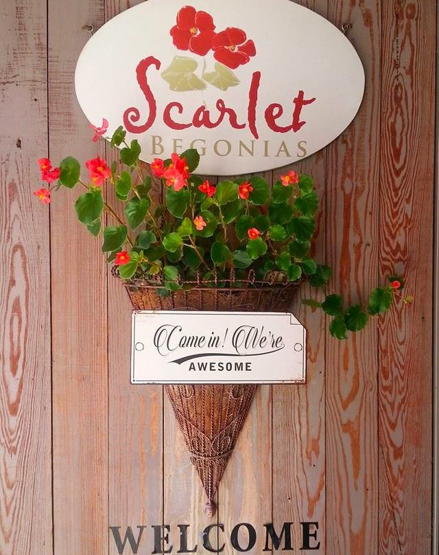 Scarlet Begonias-Mount Airy必去景点