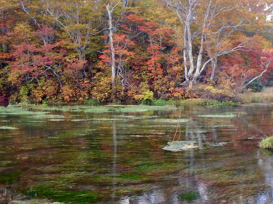 Gudari Swamp-青森市必去景点