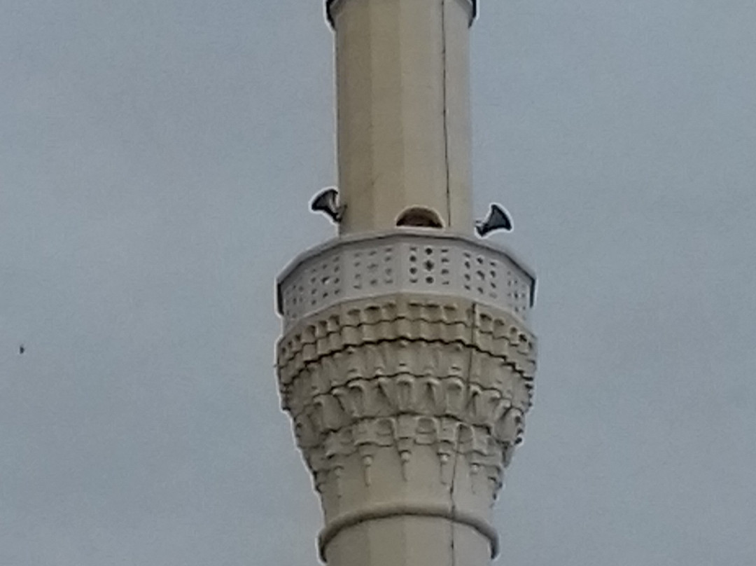 Haydar Kadi Mosque景点图片