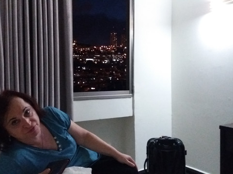 希奥多酒店主图