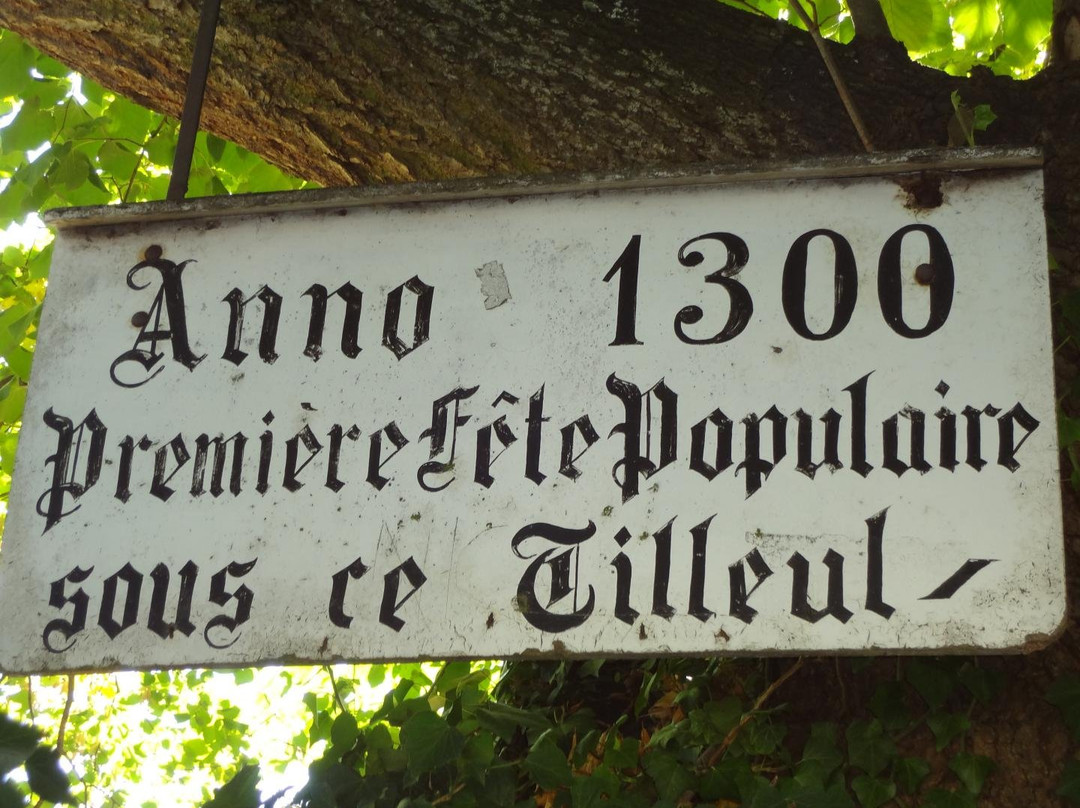 Le Tilleul Millenaire景点图片