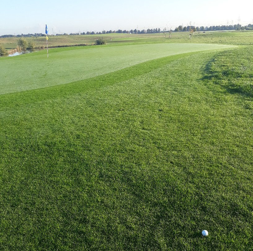 GolfCity Puchheim景点图片