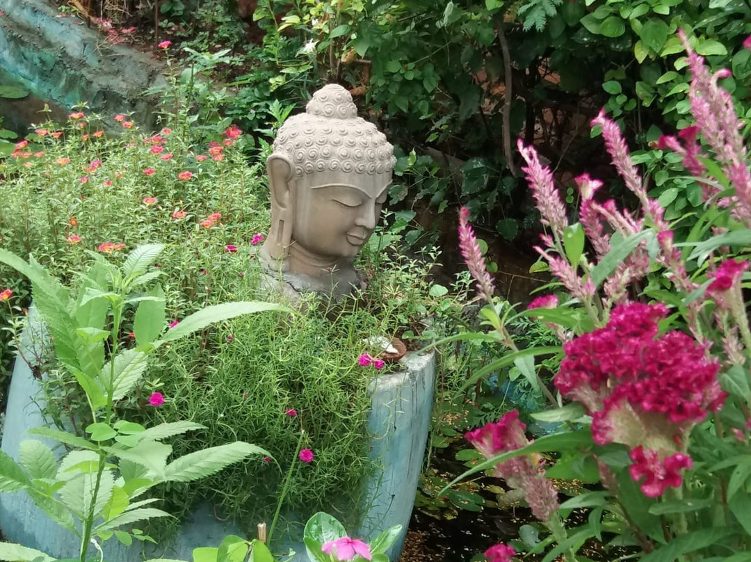 Zorba the Buddha主图