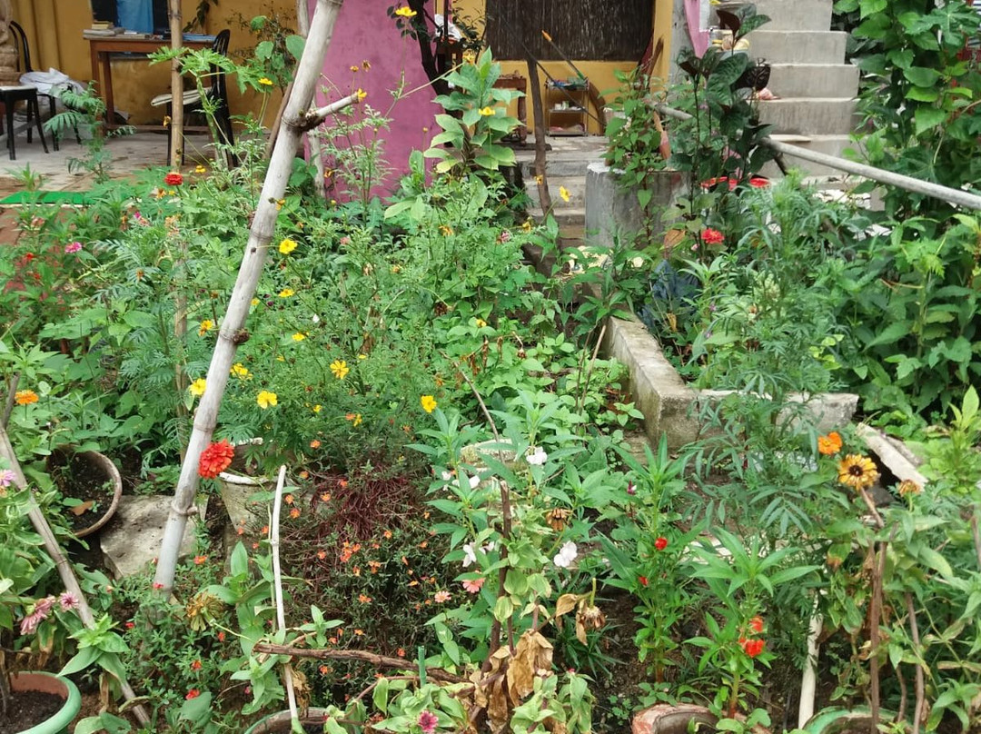 Zorba the Buddha主图