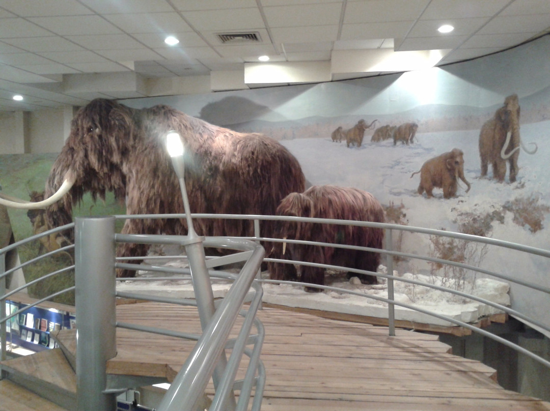 Mammoth Museum-雅库茨克必去景点
