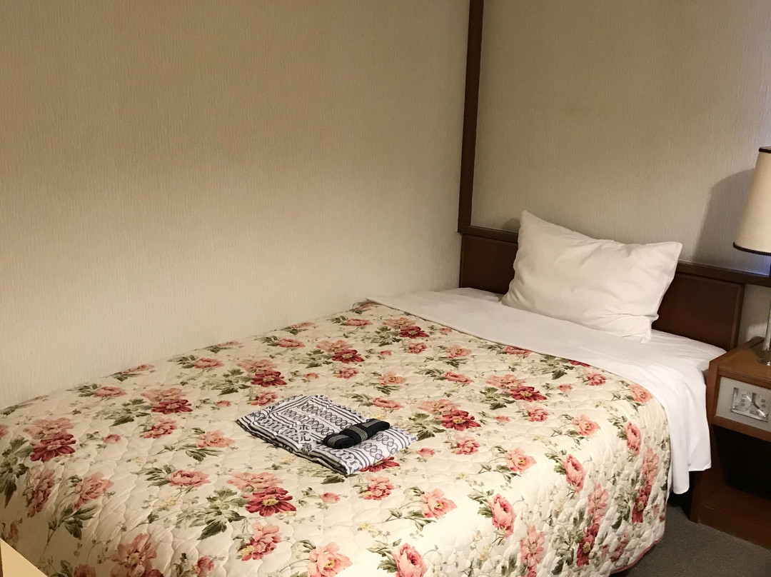 Hotel Takao主图