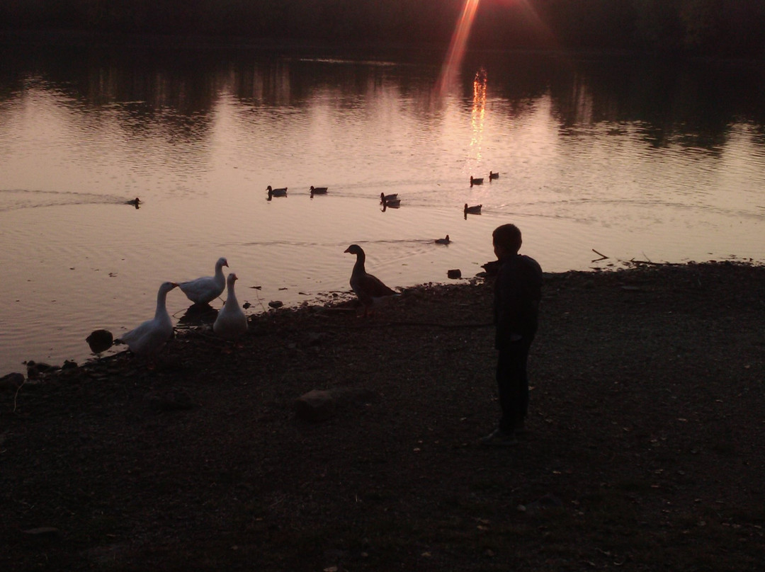 Parco "Il Lago" di Altavilla Vicentina景点图片