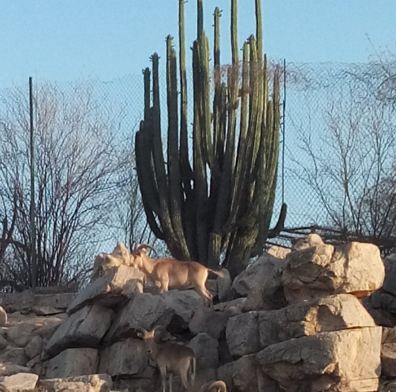 Centro Ecologico De Sonora-埃莫西约必去景点
