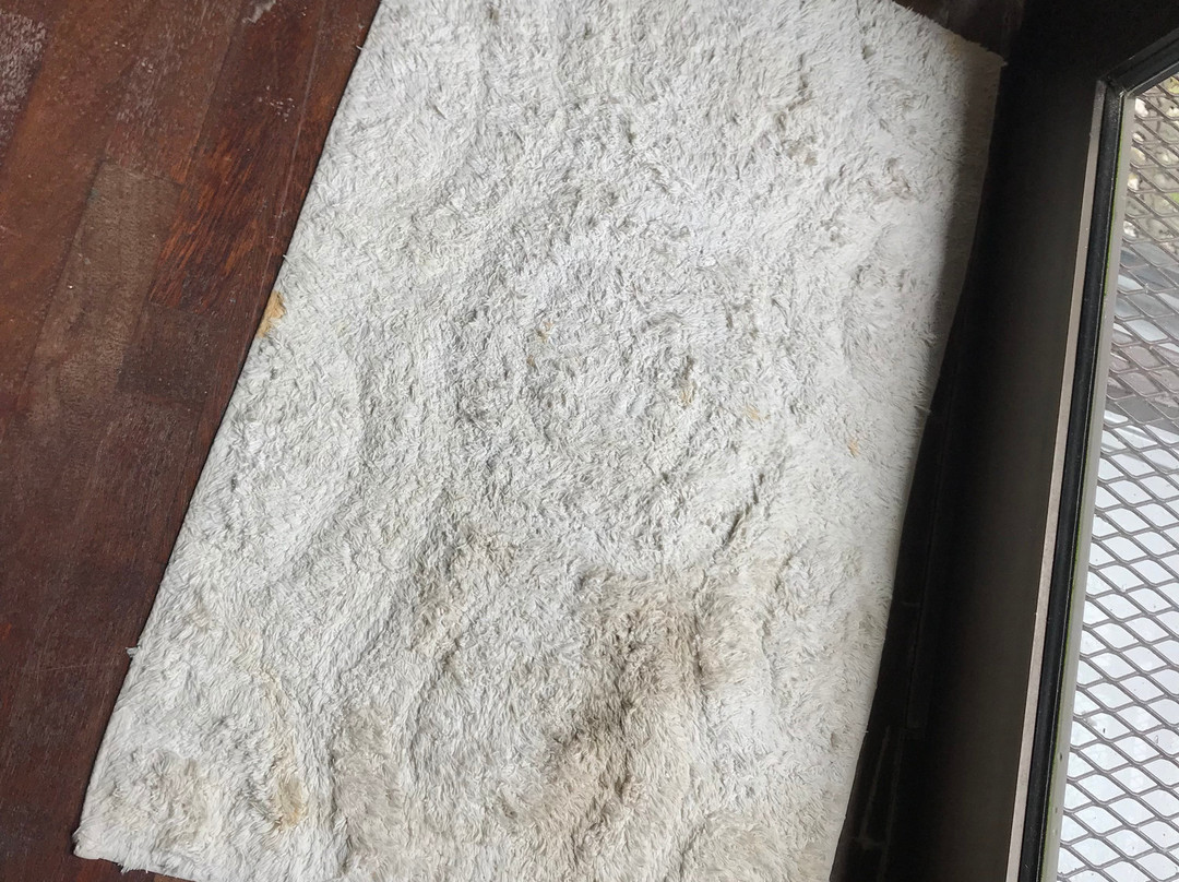 JusInn Leisure Escape主图