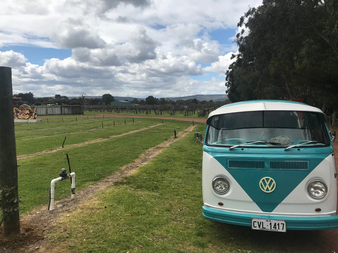 Stylish Kombi Tours景点图片