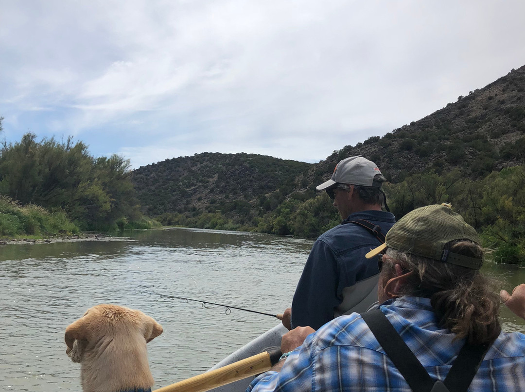 2023年12月Turquoise Trout景点攻略Turquoise Trout门票预订地址图片Turquoise Trout景点