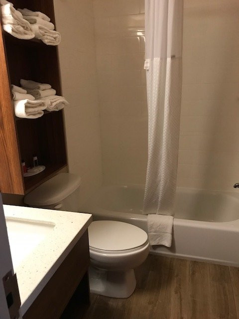 Microtel Inn & Suites by Wyndham Walterboro主图