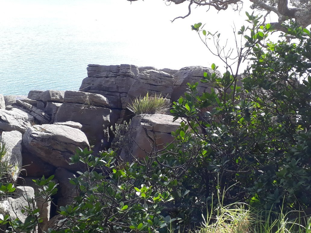 Waipu Coastal Trail景点图片