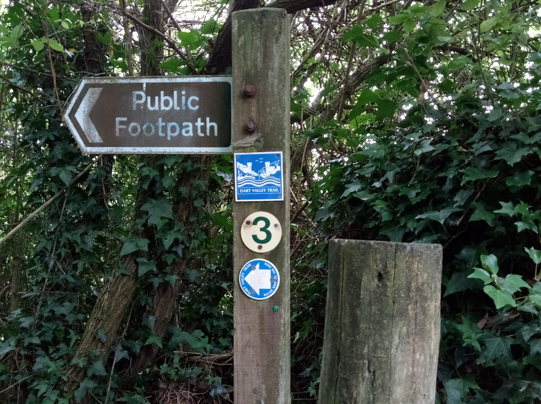 Dart River-得文郡必去景点