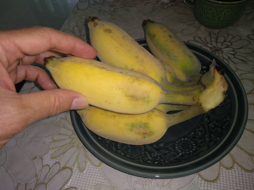 Oh Amphawa Boutique Resort主图