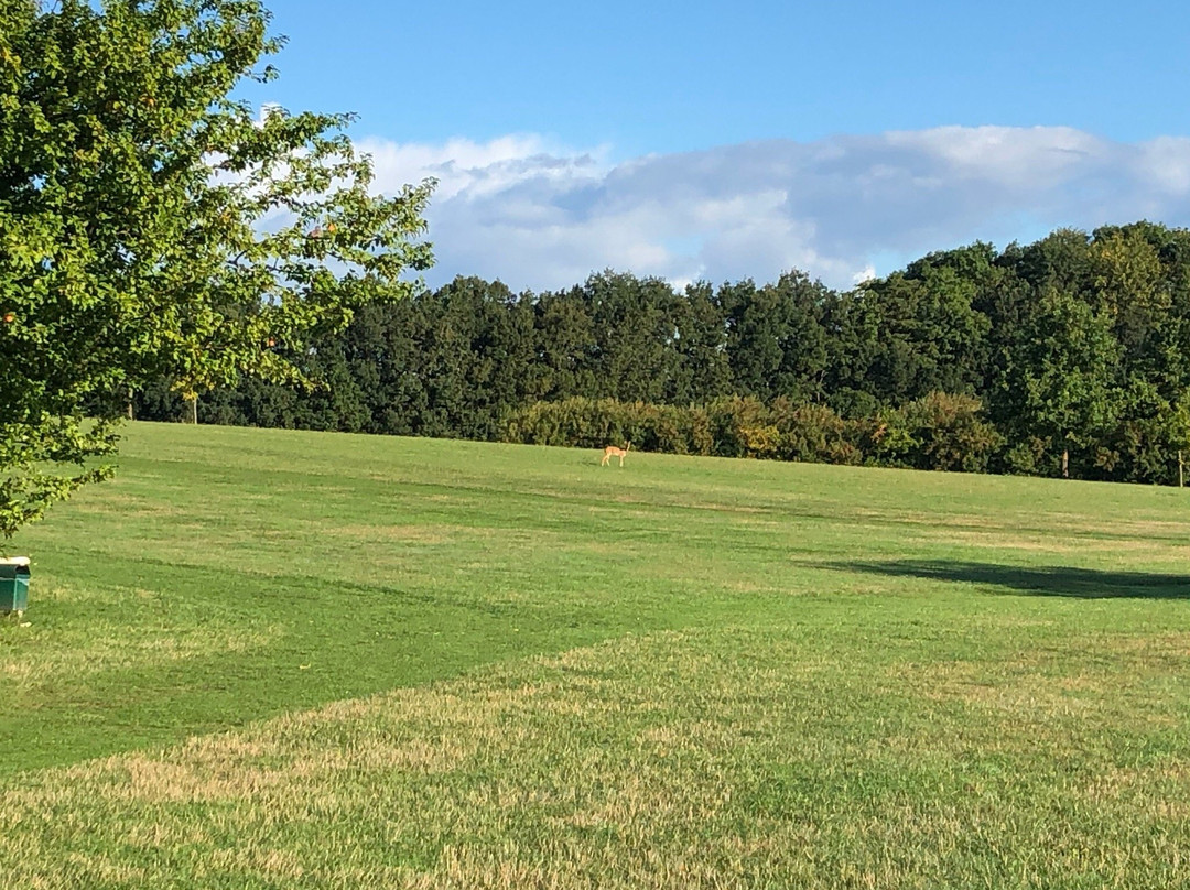 Roskilde Golf Club-罗斯基勒必去景点