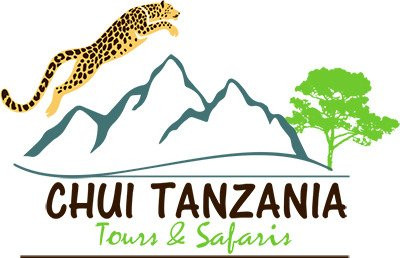 Chui Tanzania Tours & Safaris景点图片