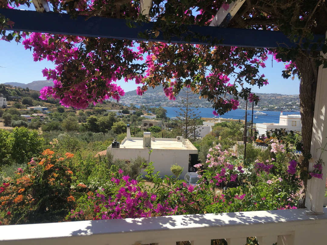 Hotel Angelika主图