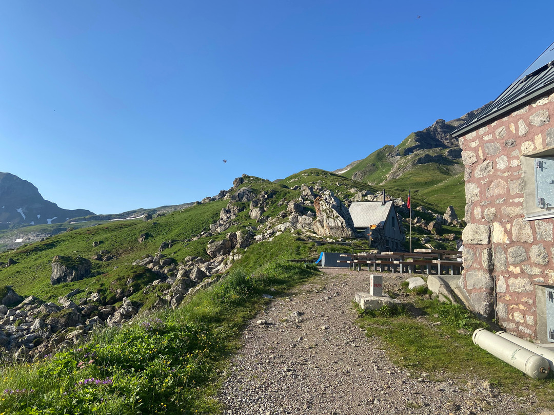 Pfälzerhütte