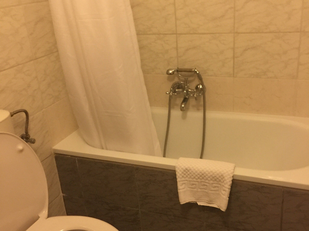 Hotel Panzio 100主图