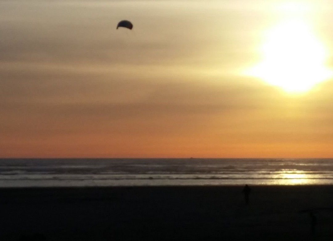 Pacific Beach State Park景点图片