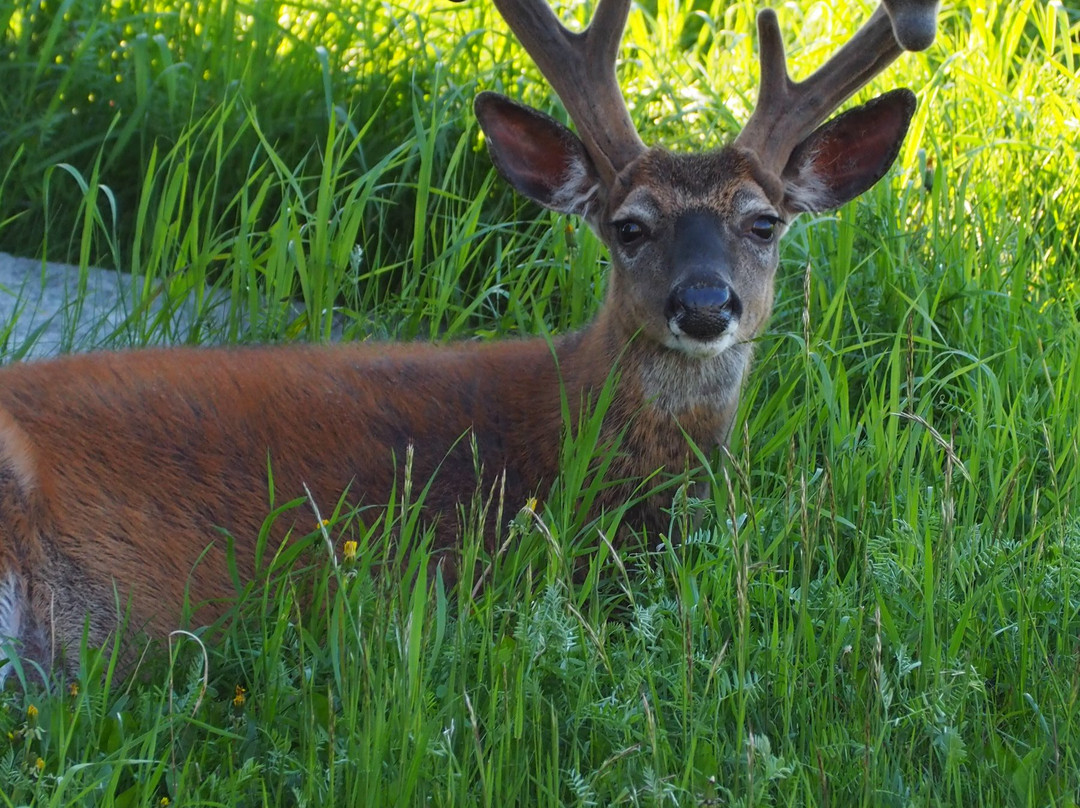 Parc National d'Anticosti-Port-Menier必去景点